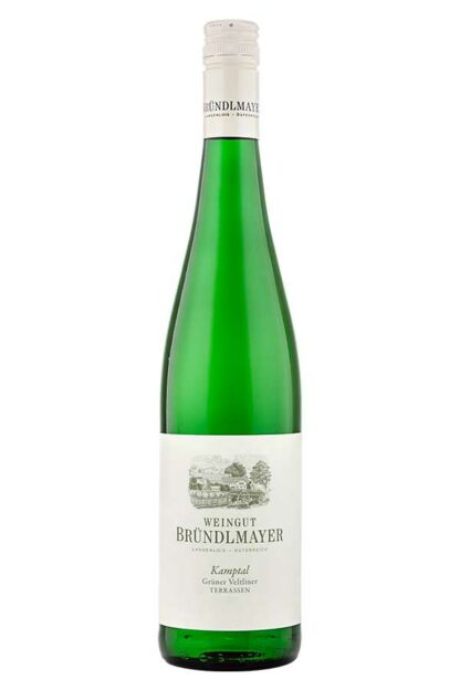 Grüner Veltliner Kamptal Terrassen 2023 Kamptal DAC <br />Bründlmayer - Langenlois