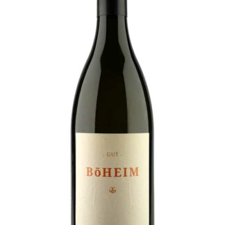 Grüner Veltliner Alte Rebe 2024 Carnuntum DAC <br />Böheim - Arbesthal