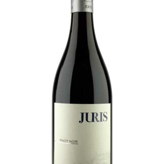 Pinot noir 2020 <br />Stiegelmar (Juris) - Gols