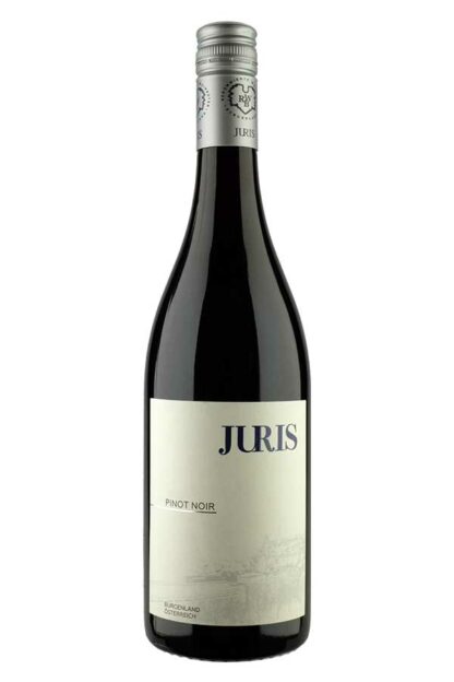 Pinot noir 2020 <br />Stiegelmar (Juris) - Gols
