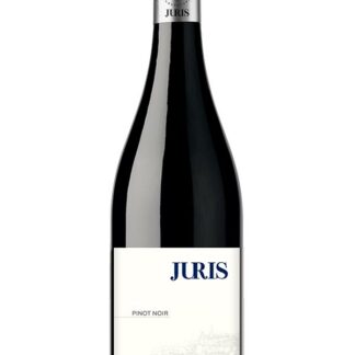 Pinot noir 2019 <br />Stiegelmar (Juris) - Gols