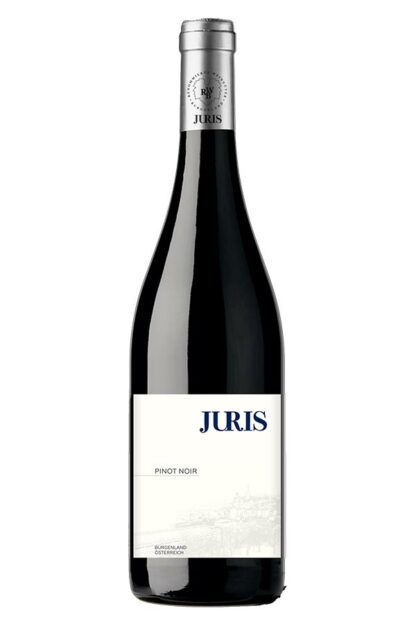 Pinot noir 2019 <br />Stiegelmar (Juris) - Gols