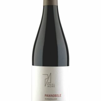 Pannobile rot Reserve 2022 <br />Achs Paul - Gols
