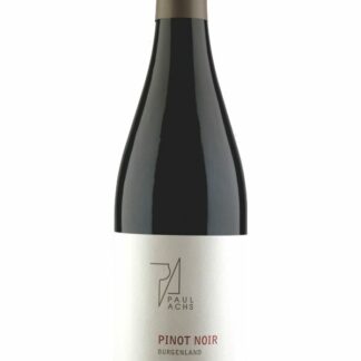 Pinot noir Reserve Selektion P 2021 <br />Achs Paul - Gols