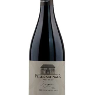 Blaufränkisch Ried Oberer Wald Leithaberg DAC 2021 <br />Feiler-Artinger - Rust