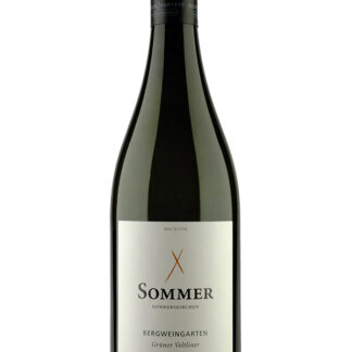 Grüner Veltliner Schiefer Leithaberg DAC 2024 <br />Sommer - Donnerskirchen