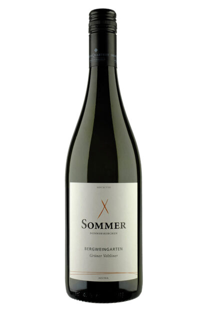 Grüner Veltliner Schiefer Leithaberg DAC 2024 <br />Sommer - Donnerskirchen