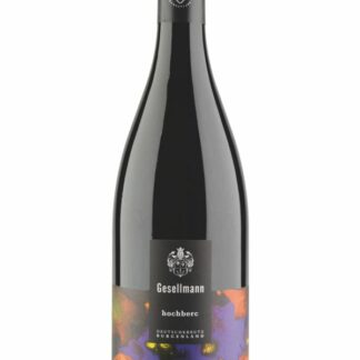 hochberc Blaufränkisch 2021 <br />Gesellmann - Deutschkreutz