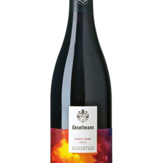 Pinot noir Ried Siglos 2022 <br />Gesellmann - Deutschkreutz