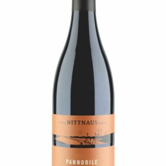 Pannobile rot 2021 <br />Nittnaus Anita und Hans - Gols
