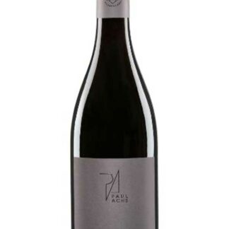 Pannobile rot Reserve 2022 <br />Achs Paul - Gols