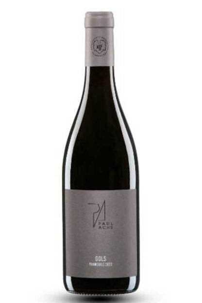 Pannobile rot Reserve 2022 <br />Achs Paul - Gols