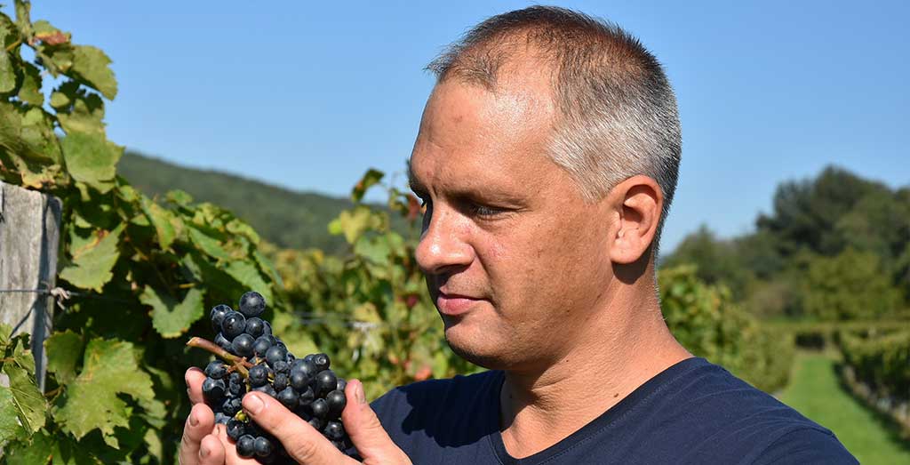 Weingut Hufnagel - Neckenmarkt