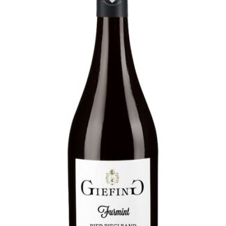 Furmint Ried Rieglband 2024 <br />Giefing - Rust