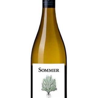 Grüner Veltliner Schiefer 2025 <br />Sommer - Donnerskirchen