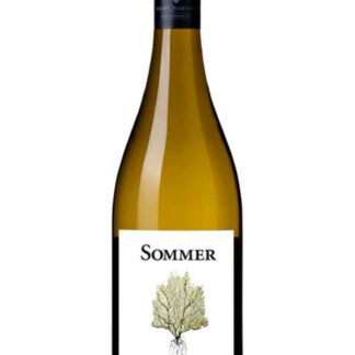 Riesling Quarz 2025 <br />Sommer - Donnerskirchen